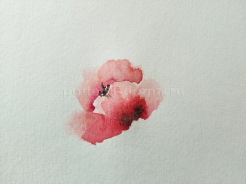 Скетч акварелью «Маки»