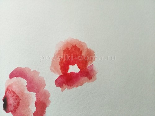 Скетч акварелью «Маки»