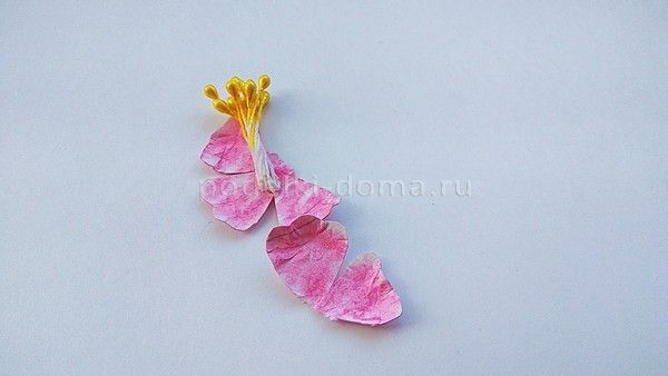 Бумажные цветы — 3 варианта Бумажные цветы — 3 варианта