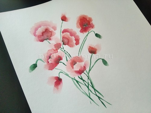 Скетч акварелью «Маки»