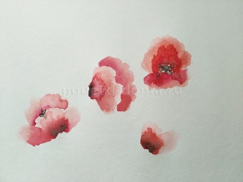 Скетч акварелью «Маки»