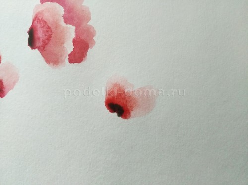 Скетч акварелью «Маки»