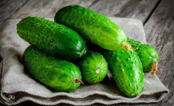 Полезные советы и рекомендации, которые позволят сохранить свежие огурцы подольше Полезные советы и рекомендации, которые позволят сохранить свежие огурцы подольше