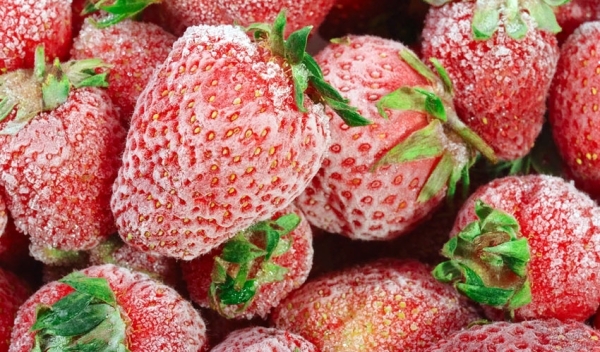 Способы долгого хранения свежей клубники в холодильнике и морозилке