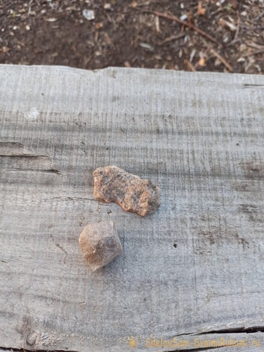 Как сделать террариум в лампочке Как сделать террариум в лампочке