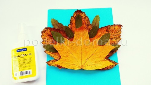 «Павлин» — аппликация из природного материала