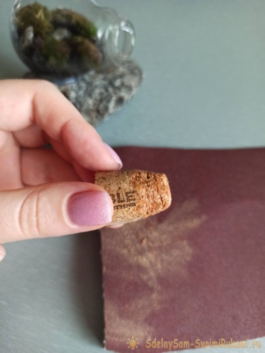 Как сделать террариум в лампочке Как сделать террариум в лампочке