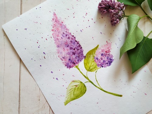 Как нарисовать клубнику акварелью Как нарисовать клубнику акварелью