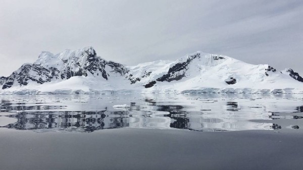 Российское судно «Северный полюс» станет ведущей мировой площадкой для исследований в Арктике Российское судно «Северный полюс» станет ведущей мировой площадкой для исследований в Арктике