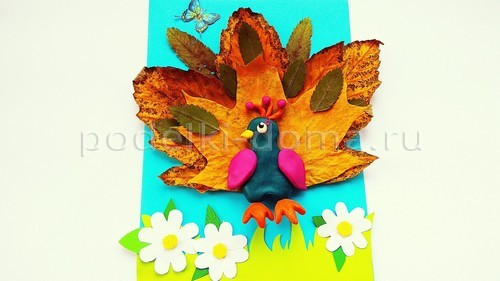 «Павлин» — аппликация из природного материала