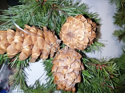 Венок из еловых веток Венок из еловых веток