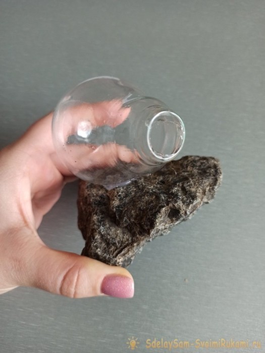 Как сделать террариум в лампочке Как сделать террариум в лампочке