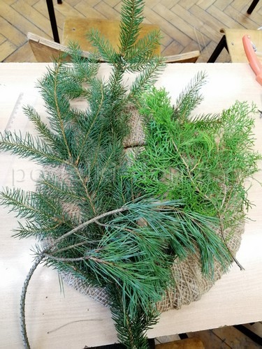 Венок из еловых веток Венок из еловых веток