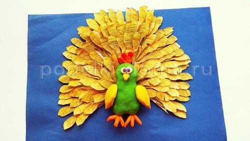 «Павлин» — аппликация из природного материала
