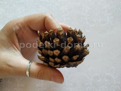 Подсвечник из шишки Подсвечник из шишки