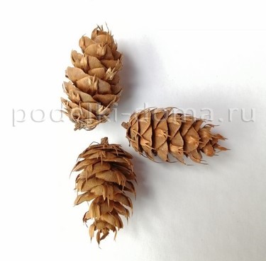 Венок из еловых веток Венок из еловых веток