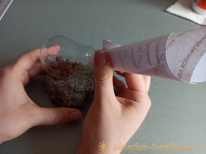 Как сделать террариум в лампочке Как сделать террариум в лампочке