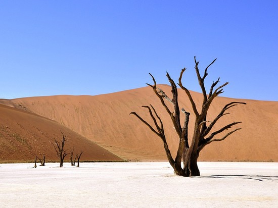 У Земли повышенная температура: побит рекорд последних 200 тысяч лет