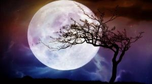 Когда ожидать новолуние и полнолуние в апреле 2022 года, и что необычного будет в этом месяце Когда ожидать новолуние и полнолуние в апреле 2022 года, и что необычного будет в этом месяце