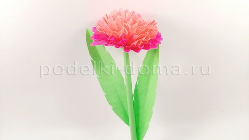 Цветы астры из бумаги Цветы астры из бумаги