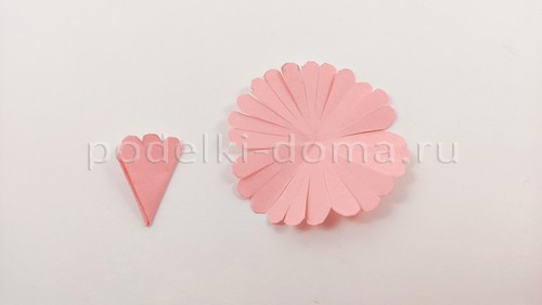 Цветы астры из бумаги Цветы астры из бумаги