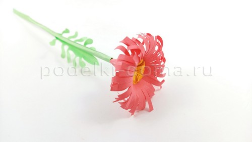 Цветы астры из бумаги Цветы астры из бумаги