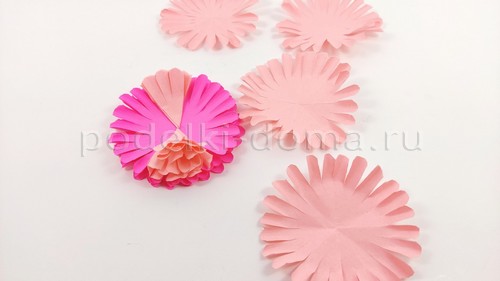 Цветы астры из бумаги Цветы астры из бумаги