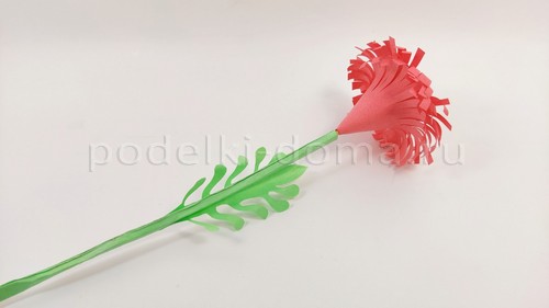 Цветы астры из бумаги Цветы астры из бумаги