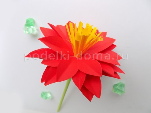 Цветы астры из бумаги Цветы астры из бумаги
