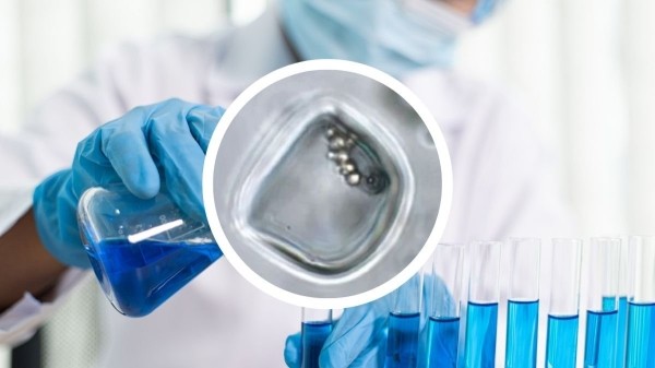 Жизнь миллионы и миллиарды лет назад: находки древних существ геологами