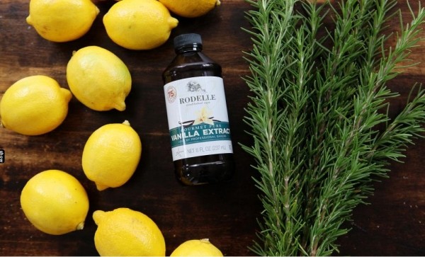 Как сделать действенное средство от комаров в домашних условиях, чтобы взять на природу