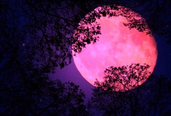 Что нужно сделать и какие провести обряды в ночь опасного клубничного полнолуния 14 июня 2022 года Что нужно сделать и какие провести обряды в ночь опасного клубничного полнолуния 14 июня 2022 года