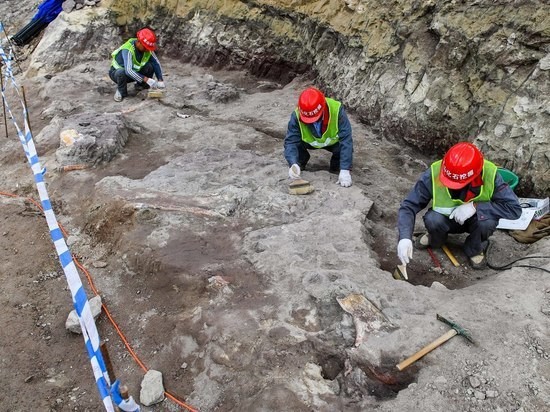 Найден один из крупнейших хищных динозавров: больше двухэтажного автобуса