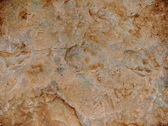 В китайском ресторане нашли следы динозавров возрастом 100 миллионов лет