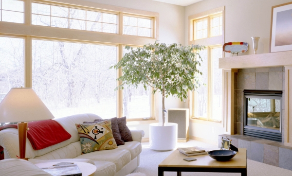 Пять советов помогут привлечь деньги в дом по фэншуй