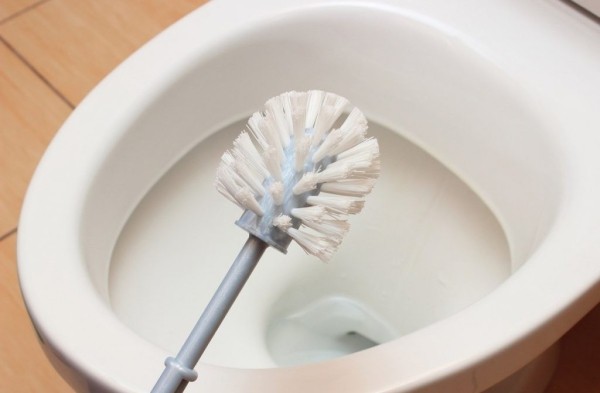 Дешево и надежно: зачем класть чайный пакетик в унитаз