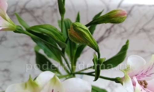 Цветок альстромерия из холодного фарфора