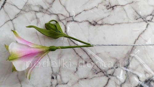 Цветок альстромерия из холодного фарфора