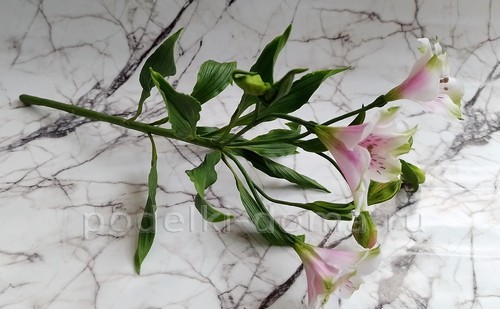 Цветок альстромерия из холодного фарфора