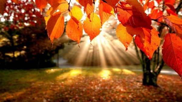 Как лучше провести мистический день осеннего равноденствия 23 сентября 2022 года Как лучше провести мистический день осеннего равноденствия 23 сентября 2022 года