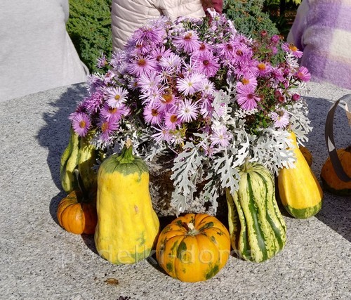 Поделки из тыквы