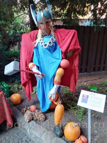 Поделки из тыквы