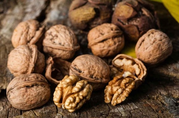 Правила заготовки грецких орехов: как их быстро высушить и зачем предварительно мыть Правила заготовки грецких орехов: как их быстро высушить и зачем предварительно мыть