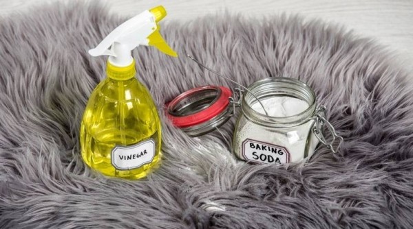 Доступные способы, которые позволят в домашних условиях почистить мех на куртке