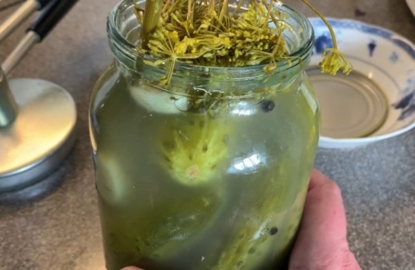 Как сохранить консервированные огурцы, если они помутнели, можно ли их есть