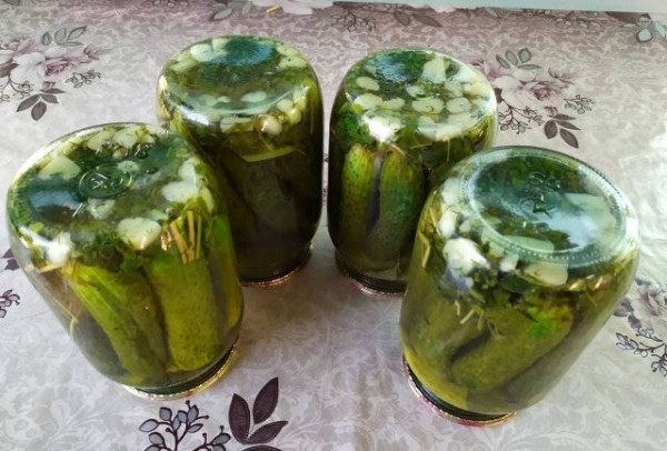 Как сохранить консервированные огурцы, если они помутнели, можно ли их есть