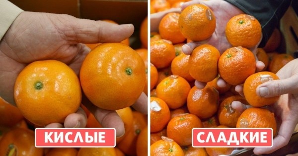 Чтобы долго были сладкими и сочными: как выбирать и как правильно хранить мандарины