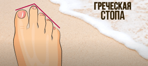 Советы стилиста, как правильно подбирать обувь по полноте и ширине стопы Советы стилиста, как правильно подбирать обувь по полноте и ширине стопы