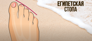 Советы стилиста, как правильно подбирать обувь по полноте и ширине стопы Советы стилиста, как правильно подбирать обувь по полноте и ширине стопы