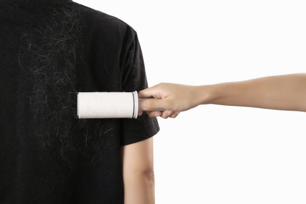 Лайфхаки, которые помогут убрать шерсть домашних питомцев с одежды